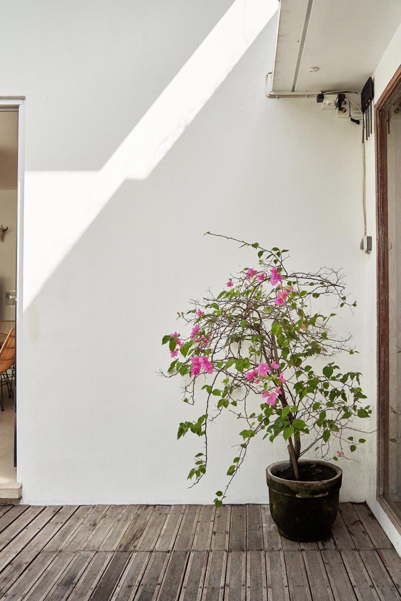 Villa Karuna Uppala Umalas Canggu Екстериор снимка